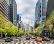 국내작가포토 - 클립아트코리아 :: 통로이미지(주) 강남구,거리,건축물,도로,도시,빌딩,서울,실외,자동차,테헤란로,한국