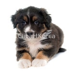 yay0015930 / JPG - 멤버십 해외작가포토