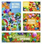 산딸기,산사,슈퍼푸드,스무디,식물,식사,야생동물,영양소,월귤나무,유기농,음식,음식재료,이익,인동,잎,정원,채식주의,체리,커런트,크랜베리,향나무