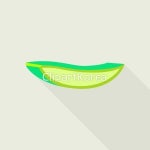 일러스트 - 클립아트코리아 :: 통로이미지(주) 건강,꽃,꽃무늬,다육식물,만들기,못,벡터,부분,부품,선인장,식물,신선,아름다움,아이콘,알로에,약초... 