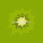 일러스트 - 클립아트코리아 :: 통로이미지(주) 갈색,건강,과일,귤,누끼,다이어트,디저트,만화,베리,벡터,비타민,세트,수집,슬라이스,신선,심벌... 