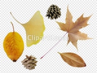 cm230004626 / PNG - 멤버십 PNG