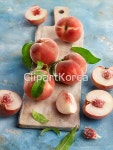 pc0031073386 / JPG - 멤버십 해외작가포토
