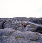 pc0020448825 / JPG - 멤버십 해외작가포토