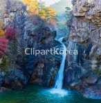 tc00240029366 / JPG - 멤버십 국내작가포토