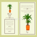 주) 갈색,건조,계절,나무,나뭇가지,누끼,다육식물,둥치,문자,벡터,사막,성장,숲,식물,신선,실외,아름다움,야자수,여름,오브젝트,유기농,유카,인사... 