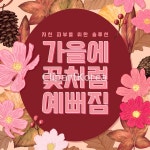 ta0016a2910 / PSD - 멤버십 합성·편집