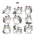 tid305t002280 | 멤버십 아이콘