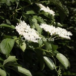 pc0020501246 / JPG - 멤버십 해외작가포토