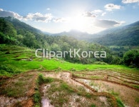 cb0650000930 / JPG - 멤버십 해외작가포토