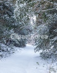 cm270023532 / JPG - 멤버십 국내작가포토