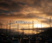 tip2440009133 | 멤버십 국내 포토