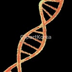 pc0040555494 | 멤버십 해외 포토