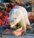 pc0040560396 / JPG - 멤버십 해외작가포토