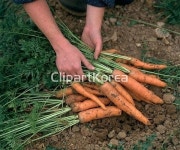 pc0040560517 | 멤버십 해외 포토