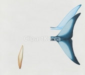 pc0040564010 / JPG - 멤버십 해외작가포토