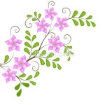 일러스트 - 클립아트코리아 :: 통로이미지(주) CG,곡선,그런지,꽃,꽃무늬... 빈티지,선,세선세공,소용돌이,스타,심벌,아름다움,앤티크,엘리먼트... 