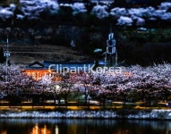 tc02530000005 | 멤버십 국내 포토