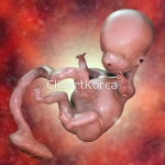 pc0040575584 | 멤버십 해외 포토