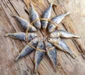 tip2500009595 | 멤버십 국내 포토