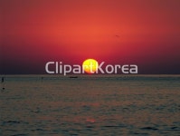 동해,일출 / tc00240085784 / JPG - 멤버십 국내작가포토