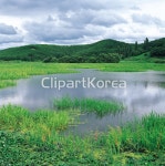 우포,창녕군,경남 / tc00240085814 / JPG - 멤버십 국내작가포토