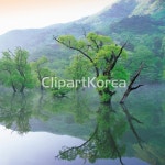 주산지,주왕산,청송군,경북 / tc00240085818 / JPG - 멤버십 국내작가포토