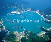예리항,흑산도,신안군,전남 / tc00240085998 / JPG - 멤버십 국내작가포토