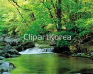 계곡 / tc00240086959 / JPG - 멤버십 국내작가포토