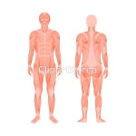 pc0040603074 / JPG - 멤버십 해외작가포토