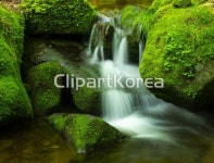 폭포,이끼,상동이끼계곡,상동읍,영월군,강원도 / tc00240094252 / JPG - 멤버십 국내작가포토