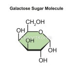 pc0040623930 | 멤버십 해외 포토