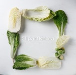 tc02150007507 | 멤버십 국내 포토