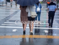 비오는날 서울 횡단보도를 건너는 우산속여자 / cm260036244 / JPG - 멤버십 국내작가포토