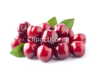 td05500000001 | 멤버십 해외 포토