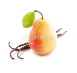 td05500000060 | 멤버십 해외 포토