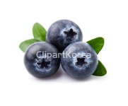 td05500000080 | 멤버십 해외 포토