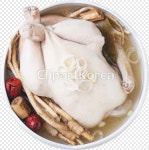 ti338a5908_01 / PNG - 멤버십 PNG