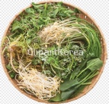 ti338a5909_02 / PNG - 멤버십 PNG