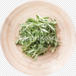ti338a5909_04 / PNG - 멤버십 PNG