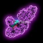 pc0040666117 / JPG - 멤버십 해외작가포토