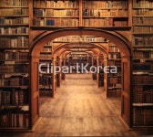 장식,사진,복도,책,책장,메이필드호텔,외발산동,강서구,서울 / tc00240114008 / JPG - 멤버십 국내작가포토