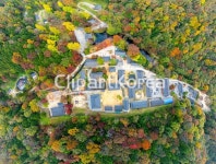 단풍,마당,기와지붕,법당,백양사,백암산,장성군,전남 / tc00240115658 / JPG - 멤버십 국내작가포토