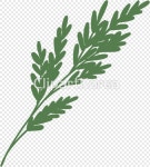 ti468a21301_03 / PNG - 멤버십 PNG