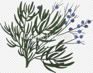 ti468a21307_02 / PNG - 멤버십 PNG