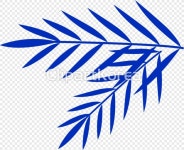 ti468a19912_01 | 멤버십 PNG