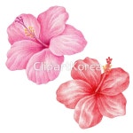 cm230008700 | 멤버십 국내 일러스트