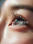 tai00050003084 | 멤버십 AI이미지