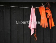 pc002060198 / JPG - 멤버십 해외작가포토