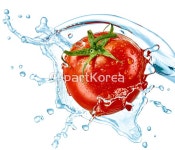 클립아트코리아 - 통로이미지